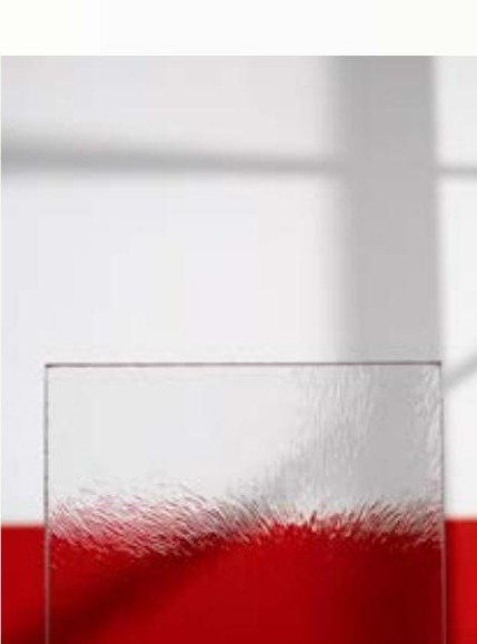 Chinchilla Ornamentglas
